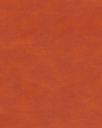 Marzano-nj 267 Red Fox by   