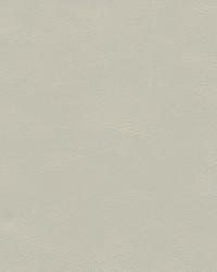 Marzano-nj 271 Whisper by   