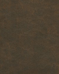 Marzano-nj 273 Roan by   