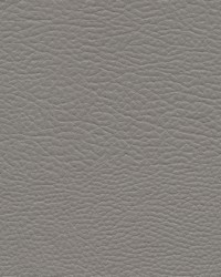 Meadowland-nj 953 Steel by  Duralee 