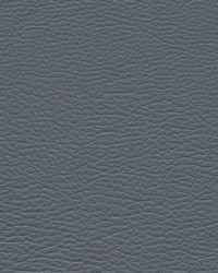 Meadowland-nj 956 Neptune by  Duralee 