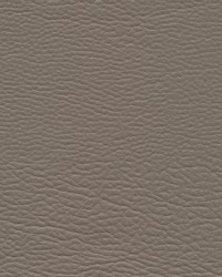 Meadowland-nj 960 Fox by   