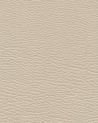 Meadowland-nj 961 Duck by   