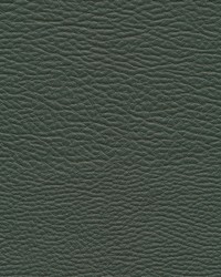 Meadowland-nj 964 Evergreen by   