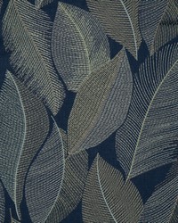 Maliha 305 Chicory by   