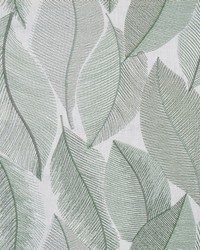 Maliha 334 Spanish Moss by   