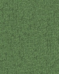 Moreau 1019 Pesto by   