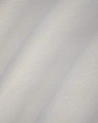 Manarola 315 Bone by   