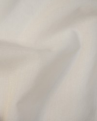 Manarola 325 Ivory by   