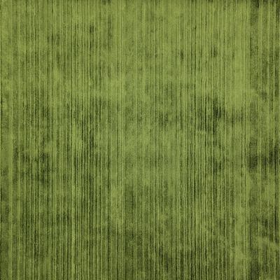 Maserati 622 Olive in CLASSIC VELVETS Green VISCOSE/37%  Blend Fire Rated Fabric Striped Velvet   Fabric