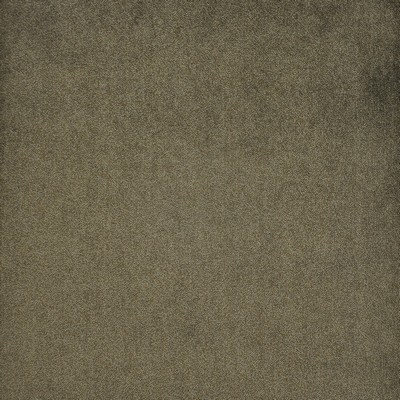 Mata Hari 703 Bear Cub in VELVET ROOM POLYESTER  Blend Fire Rated Fabric High Wear Commercial Upholstery CA 117  NFPA 260   Fabric