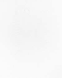 Muni 911 Icicle by  Maxwell Fabrics 