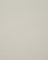 Muni 930 Rabbit by  Maxwell Fabrics 