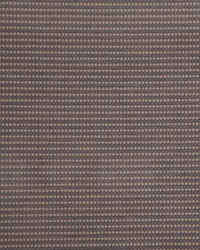 Macaw 526 Limestone by   