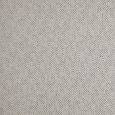 Magellan 218 Dove in COLORGUARD - NOUGAT Grey POLYESTER Traditional Chenille  Patterned Chenille  Geometric  High Performance  Fabric