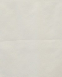 Mercutio 640 Bone by   