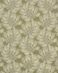 Meadowmere 647 Sage by   