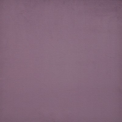 Novarro 754 Crocus in VELVET ROOM POLYESTER  Blend Fire Rated Fabric High Wear Commercial Upholstery CA 117  NFPA 260   Fabric