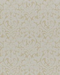 Nederlander 622 Biscotti by   