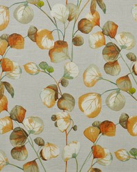 Nightshade 619 Autumn by   