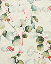 Nightshade 627 Spruce by   