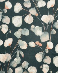 Nightshade 827 Lakeland by   