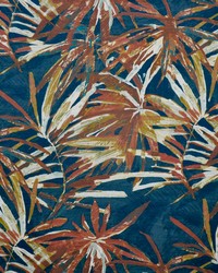 Nikita 801 Auburn by   