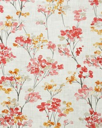 Nishi 632 Bittersweet by   