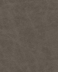 Noonday-nj 1025 Graphite by  Duralee 