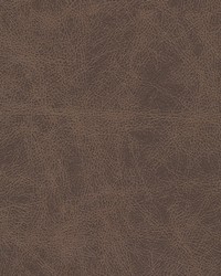 Noonday-nj 1026 Cadbury by  Duralee 