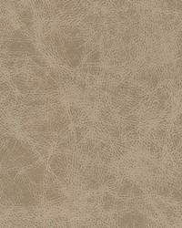 Noonday-nj 1027 Kit Fox by  Duralee 