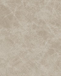 Noonday-nj 1028 Milk by  Duralee 