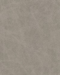 Noonday-nj 1029 Aluminum by  Duralee 