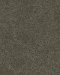 Noonday-nj 1030 Woods by  Duralee 