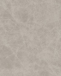 Noonday-nj 1031 Icing by  Duralee 