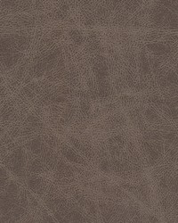 Noonday-nj 1032 Clay by  Duralee 