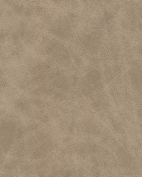 Noonday-nj 1033 Marble by  Duralee 