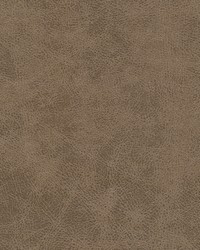 Noonday-nj 1034 Desert by  Duralee 