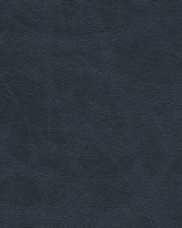 Noonday-nj 1036 Navy by  Duralee 