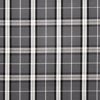 Oban 433 Dalmation in MENSWEAR - PLAIDS & CHECKS Black COTTON Large Check  Check  Medium Duty  Fabric