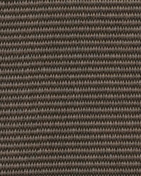 Oceanside-nj 101 Bark by   