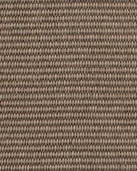 Oceanside-nj 102 Fossil by   