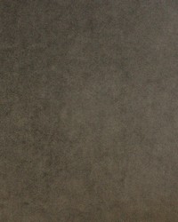 Palermo 409 Charcoal by   