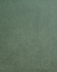 Palermo 415 Duckegg by   