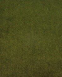 Palermo 418 Olive by   