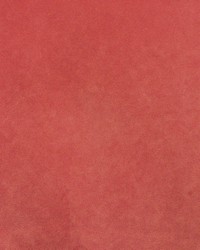 Palermo 428 Sweet by   