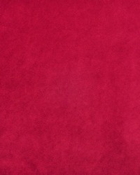 Palermo 431 Berry by   