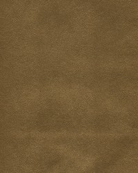 Potion-nj 571 Treasure by   