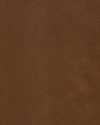 Potion-nj 575 Outback by   