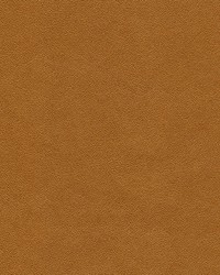 Potion-nj 576 Rustic by   